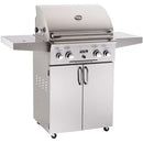 American Outdoor Grill 24" Portable Gas Grill