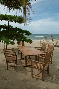 Anderson Teak Rectangular Extension Table and Wilshire Dining Armchair
