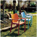 Compamia Diva Resin Outdoor Dining Arm Chair - Set of 2