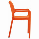 Compamia Diva Resin Outdoor Dining Arm Chair - Set of 2