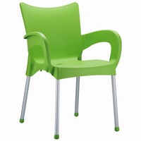 Compamia Romeo Resin Dining Arm Chair - Set of 2