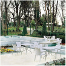 Compamia Romeo Resin Dining Arm Chair - Set of 2