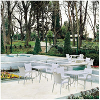 Compamia Romeo Resin Dining Arm Chair - Set of 2