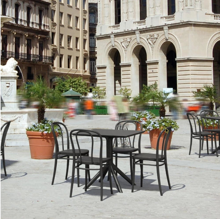 Dining6.webp