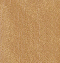 La Fete Surf Pillow