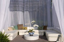 La Fete ZEN - CLUB NOW Collection