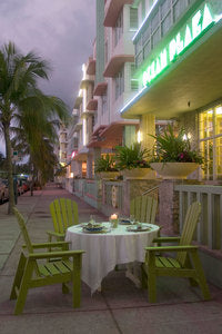 POLYWOOD¨ South Beach Dining Chair
