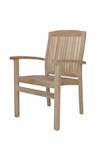 Anderson Teak Sahara 9-Piece Dining Chair and Oval Double Extension Outdoor Dining Set