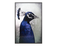 Sunpan The Peacock - 48" x 72" - Charcoal Frame
