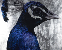 Sunpan The Peacock - 48" x 72" - Charcoal Frame