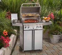 American Outdoor Grill 24" Portable Gas Grill