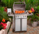 American Outdoor Grill 24" Portable Gas Grill