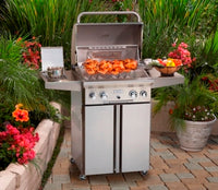 American Outdoor Grill 24" Portable Gas Grill