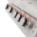 Blaze Grills Blaze 32-Inch 4-Burner LTE3 Gas Grill with Rear Burner and Built-in Lighting System