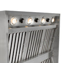 Blaze Grills 42-Inch Vent Hood