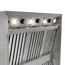 Blaze Grills 42-Inch Vent Hood