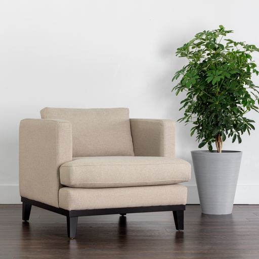 Sunpan Kaius Armchair in Limelight Oat / Limelight Silver