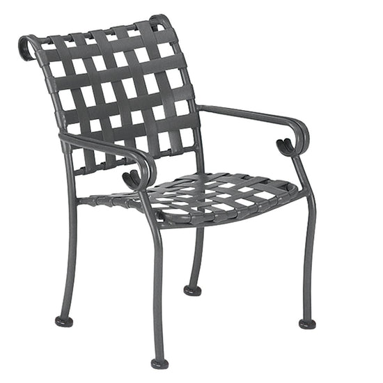 Woodard Et Cetera Ramsgate Dining Arm Chair with Optional Seat and Back Cushion