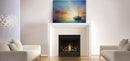 Napoleon Hearth Ascent™ 30 Direct Vent Gas Fireplace