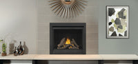 Napoleon Hearth Ascent™ Deep 42 Direct Vent Zero Clearance Gas Fireplace