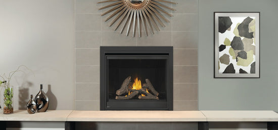 Napoleon Hearth Ascent™ Deep 42 Direct Vent Zero Clearance Gas Fireplace