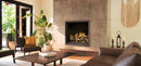 Napoleon Hearth Elevation™ X 42 Direct Vent Gas Fireplace