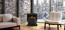 Napoleon Hearth Haliburton™ Direct Vent Gas Stove