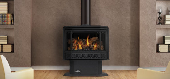Napoleon Hearth Havelock™ Direct Vent Gas Stove