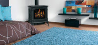 Napoleon Hearth Knightsbridge™ Direct Vent Gas Stove