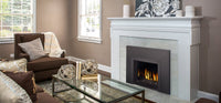 Napoleon Hearth Oakville™ 3 Glass Gas Fireplace Insert