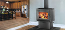 Napoleon Hearth S25 Wood Stove