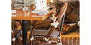 DecoScapes Paris Aluminum Stackable Dining Arm Chair