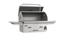 Bull BBQ Bison Premium Drop In Charcoal Grill