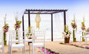 Compamia Josephine Outdoor Dining Chair - Set of 2