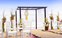 Compamia Josephine Outdoor Dining Chair - Set of 2