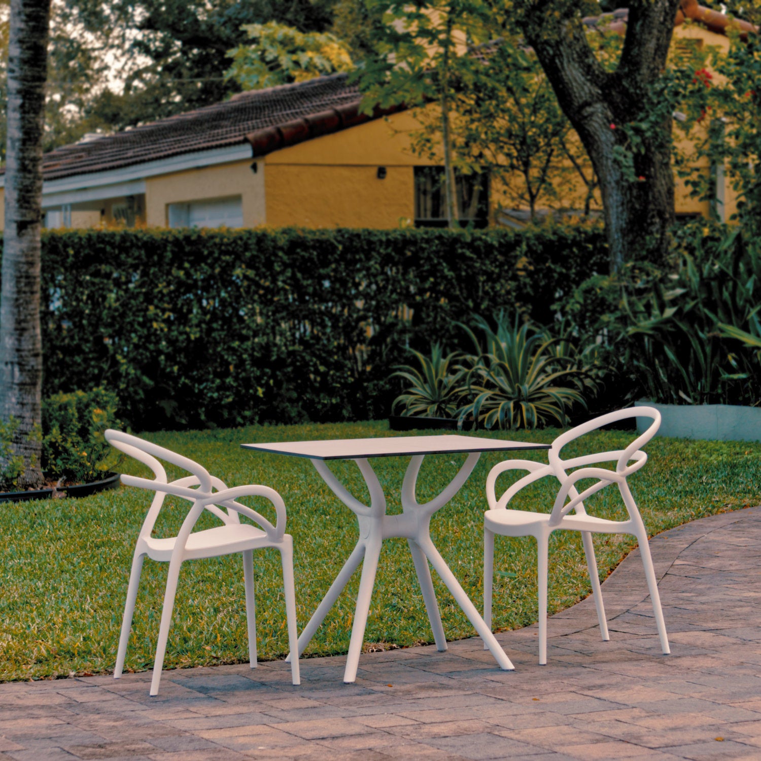 Compamia Mila Dining Set with 2 Arm Chairs White/Dark Grey