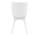Compamia Mio PP Modern Dining Chair
