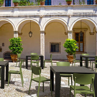 Compamia Monna Outdoor Dining Chair Olive Green - Set of Two