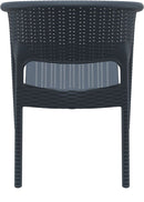 Compamia Panama Resin Wickerlook Dining Arm Chair Set of 2