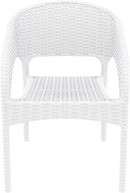 Compamia Panama Resin Wickerlook Dining Arm Chair Set of 2