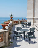 Compamia Daytona Resin Wickerlook Dining Chair - Set of Two