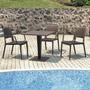 Compamia Capri Resin Dining Arm Chair - Set of 2