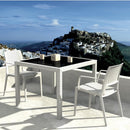 Compamia Capri Resin Dining Arm Chair - Set of 2