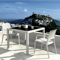 Compamia Capri Resin Dining Arm Chair - Set of 2