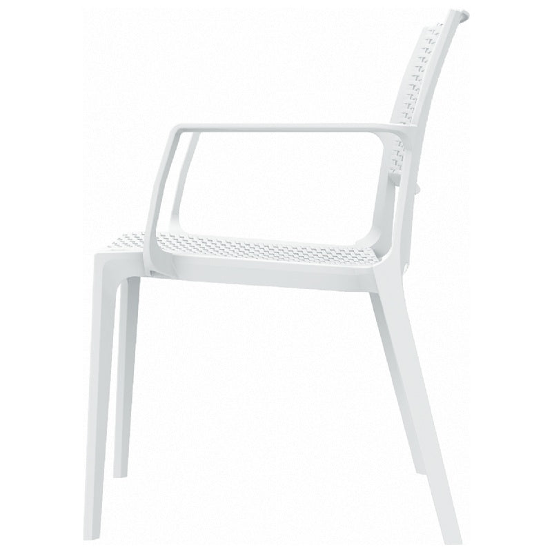 Compamia Capri Resin Dining Arm Chair - Set of 2