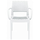 Compamia Capri Resin Dining Arm Chair - Set of 2