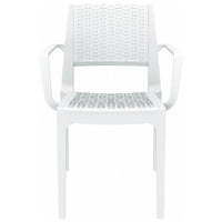 Compamia Capri Resin Dining Arm Chair - Set of 2