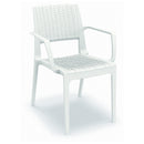 Compamia Capri Resin Dining Arm Chair - Set of 2