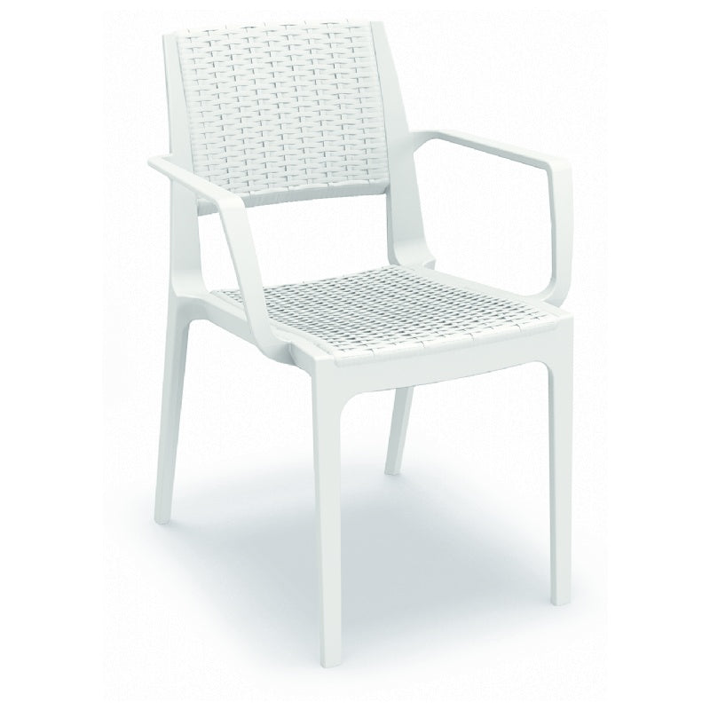 Compamia Capri Resin Dining Arm Chair - Set of 2
