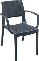 Compamia Capri Resin Dining Arm Chair - Set of 2